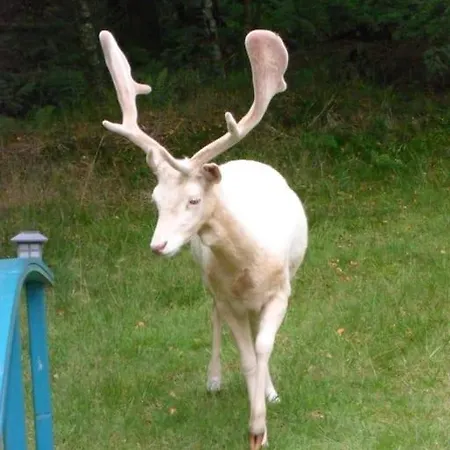 De Papitou , Situe Dans Un Coin De Paradis スタヴロ