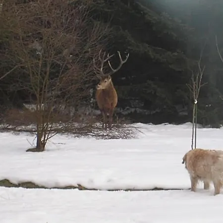 De Papitou , Situe Dans Un Coin De Paradis